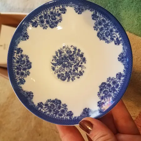 نعلبکی چینی زرین ایران مدل فلورانس درجه یک بسته 6 عددی