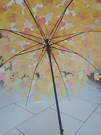 چتر طرح برگ پاییز مدل pa-100