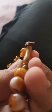 تسبیح کد frz9999