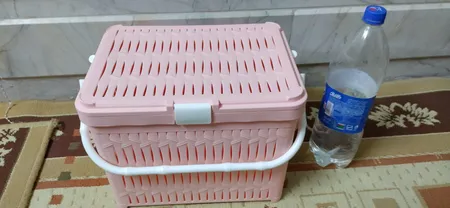 سبد پیک نیک لیمون مدل hm166