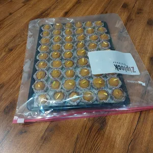 تجریه خرید کیسه زیپ دار زیپ بگ دلاور مدل اسلایدر Large بسته 20 عددی