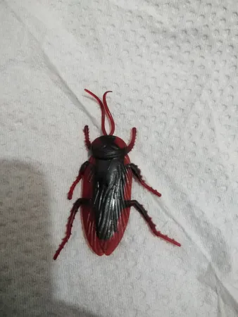 ابزار شوخی مدل سوسک کد shb16