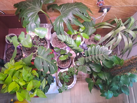 وال واشر ال ای دی رشد گیاه 36 وات مدل pw