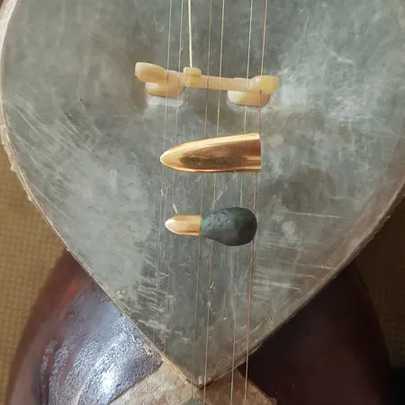 مضراب تار مدل Wide