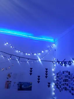 ریسه ال ای دی روژ کد  به طول 25 متر