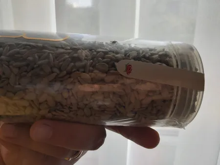 مغز تخمه آفتابگردان خام ممتاز سرمد - 450 گرم