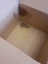 تجریه خرید روغن موتور اسپیدی مدل پلاتینیوم 10W40 SM حجم 4 لیتر