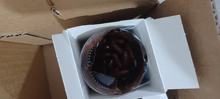 کپسول مولتی فور هیم مخصوص آقایان ویتالی تون بسته 60 عددی