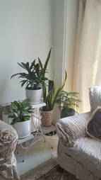 استند گلدان مدل ایفل