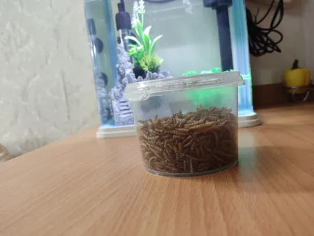 غذای ماهی و لاک پشت فود فارمز لند مدل میلورم وزن 50 گرم