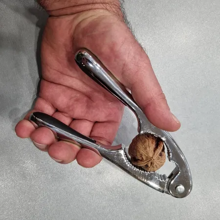 گردو و فندق شکن مدل FZ-714