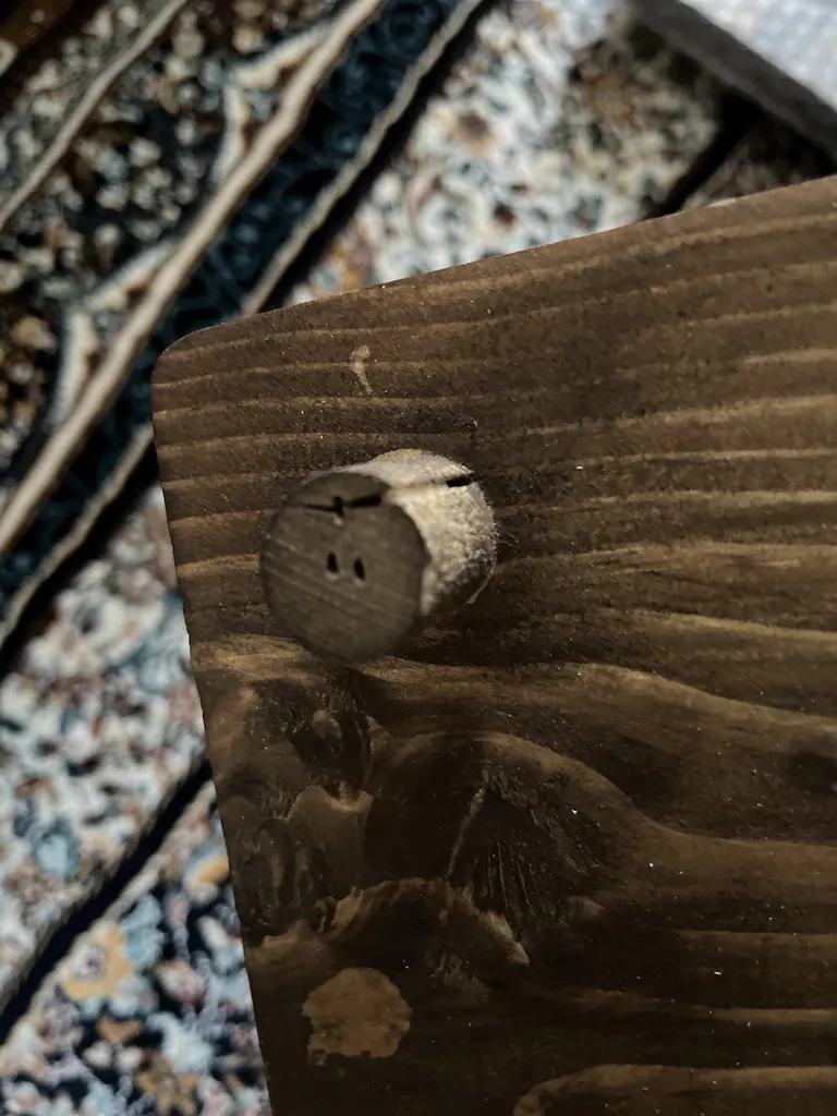 سینی سرو مدل رایزر