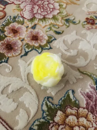 قالب شمع مدل گل پیونی وارمری