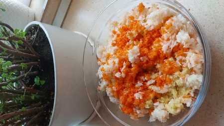 خردکن باریتون مدل BFC-2502TB