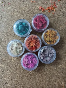 گل خشک چلیپا مدل رزین اپوکسی بسته 7 عددی