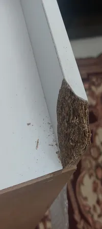 کتابخانه چهار طبقه مدل کتابخانه مدل IKE4404