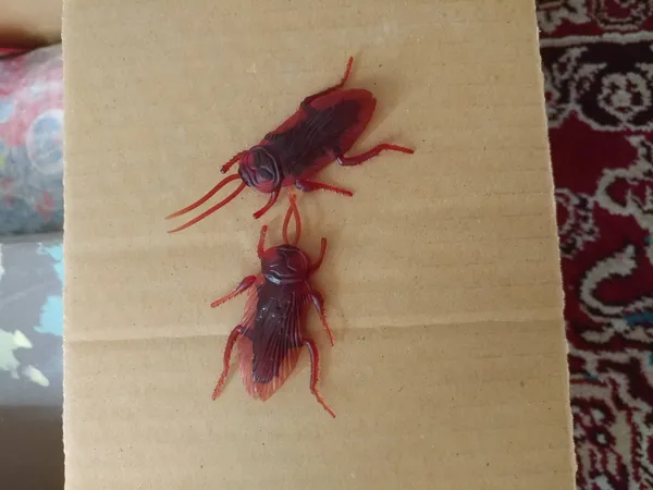 عکس ارسالی خریدار