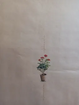 کاغذ کادو طرح شمعدانی بسته 5 عددی