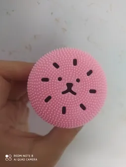 برس پاک‌سازی مدل B 0101