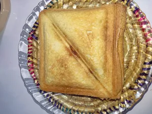 تجریه خرید ساندویچ ساز نانانی مدل NSM-060