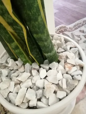 سنگ تزیینی مدل WB وزن ۱ کیلوگرم