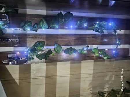 ریسه ال ای دی طرح برگ پتوس طول 2 متر