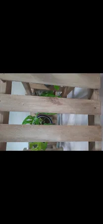 استند گلدان مدل 208