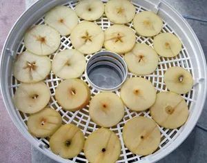 تجریه خرید میوه و سبزی خشک کن سایا مدل GP-102