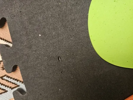 کفپوش تاتامی مدل حیوانات بسته ۹ عددی