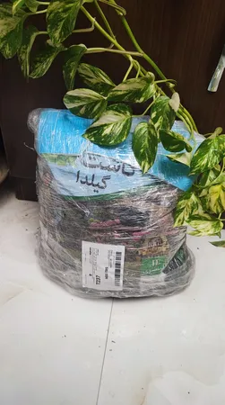 خاک گلدان گیلدا کد GK11L حجم 11 لیتر