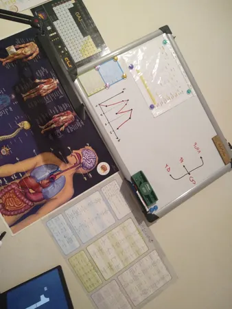 گیره آهنربایی فوسکا مدل 2010T بسته 10 عددی