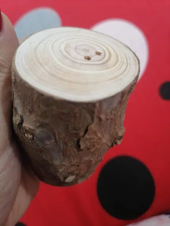 نمک پاش طرح تنه درخت