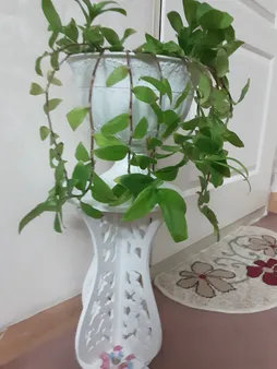 استند گلدان پلی نایس مدل 005 سایز کوچک