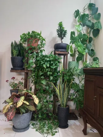 استند گلدان مدل Mtf5