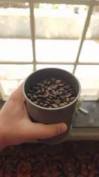 بانکه آریسام کد NEFT