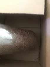 تجریه خرید تخم کتان ممتاز سرمد - 500 گرم