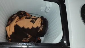 تجریه خرید ماشین لباسشویی نیمه اتوماتیک پاکشوما مدل PTF 1504 iAJ ظرفیت 15.5 کیلوگرم