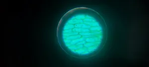 تجریه خرید میکروسکوپ آیبکس مدل 1200 Zoombox Vision