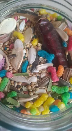 غذای طوطی کوکو پلاس مدل پروت وزن 1 کیلوگرم