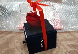 تجریه خرید جعبه موزیکال کشودار رز جاودان دکوفیوره طرح ملودی عاشقانه