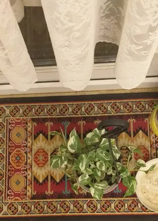 گل طبیعی پتوس ارتشی کد 116