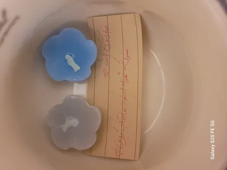 ماگ رجینال کد 1