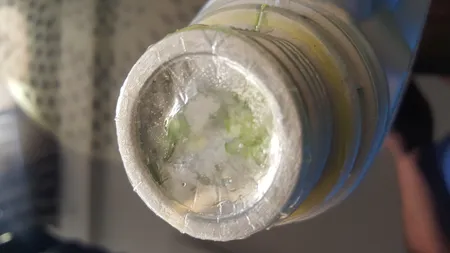 ضدیخ خودرو تسکو مدل چهار فصل AAAA2 حجم 1000 میلی لیتر