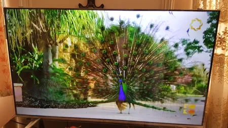 محافظ صفحه تلویزیون مدل 50-NEW مناسب برای تلویزیون 50 اینچ