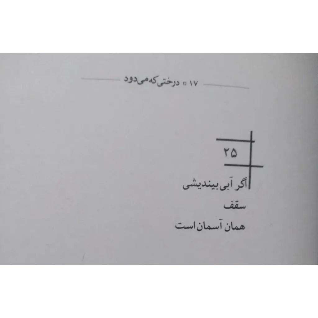 کتاب درختی که میدود اثر پرویز بیگی حبیب آبادی