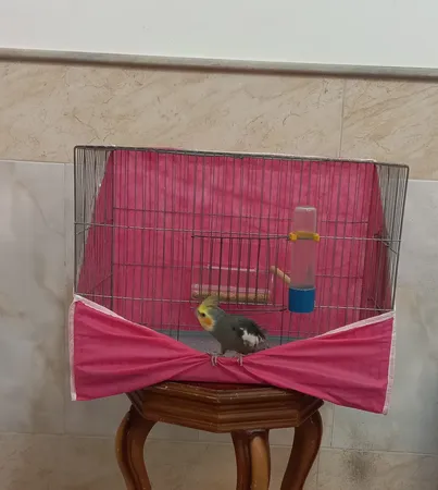 کاور قفس حیوانات کد 1030