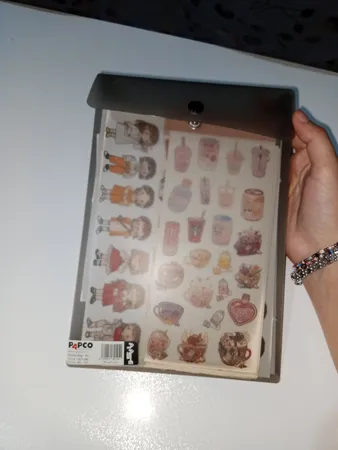 پوشه دکمه دار پاپکو مدل ارکید کد B5-121