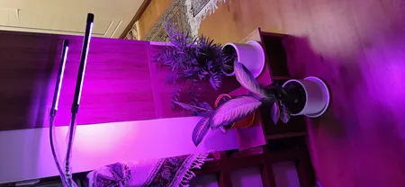 چراغ رشد گیاه 10 وات مدل Dual Head