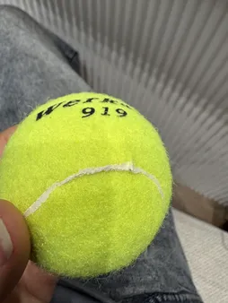 توپ تنیس مدل WELKIN 919