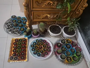 تجریه خرید گلدان کلاسیک مدل G3004 مجموعه 50 عددی